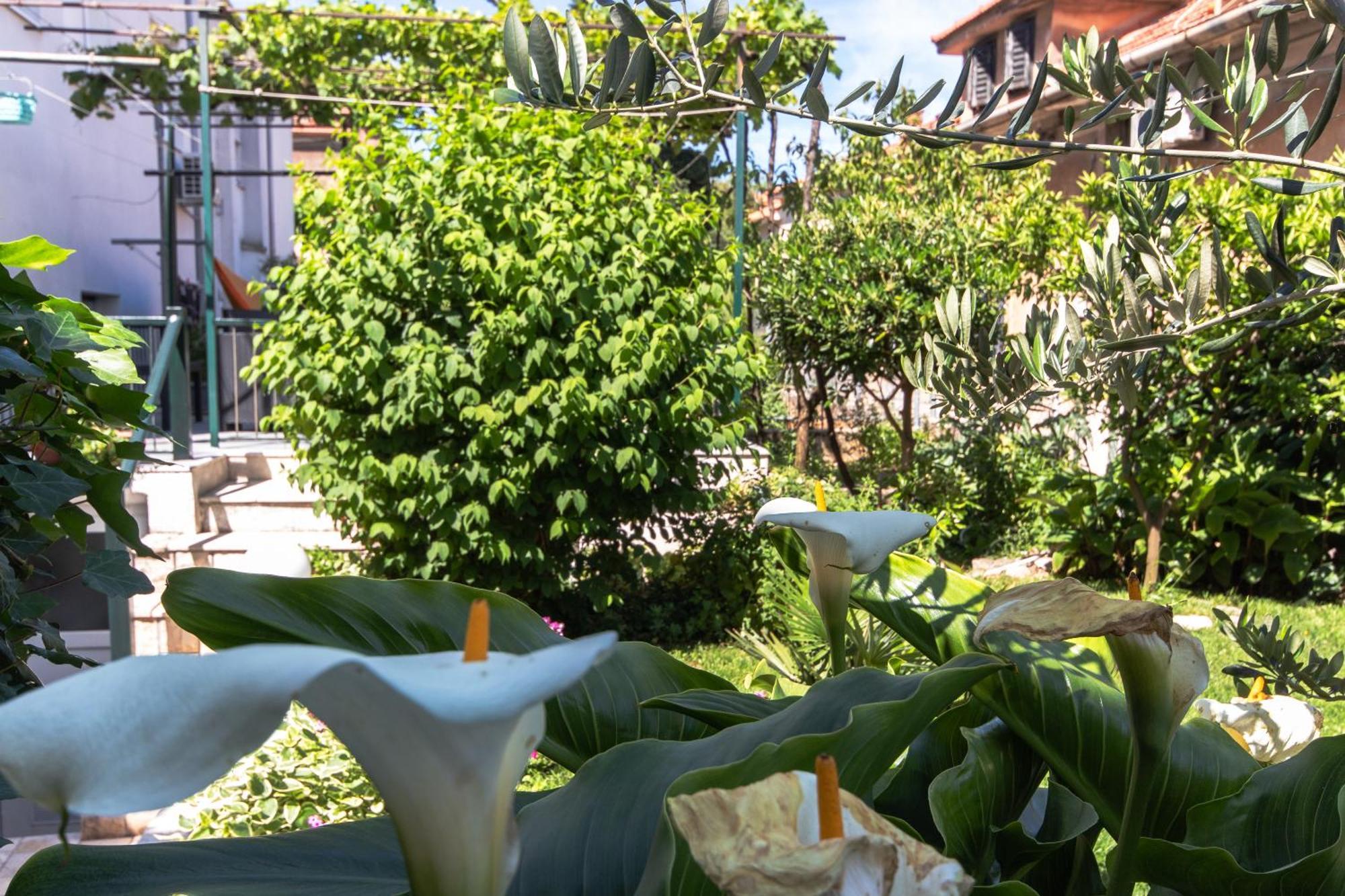 Marjan Hill 3-Br Apt,5 Guests Private Garden Near Beach Split Kültér fotó